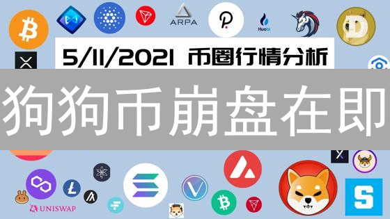 狗狗币崩盘在即？欧易购买狗狗币前必看三大风险！