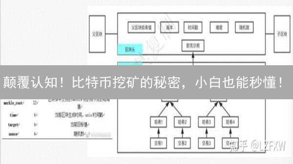 颠覆认知！比特币挖矿的秘密，小白也能秒懂！