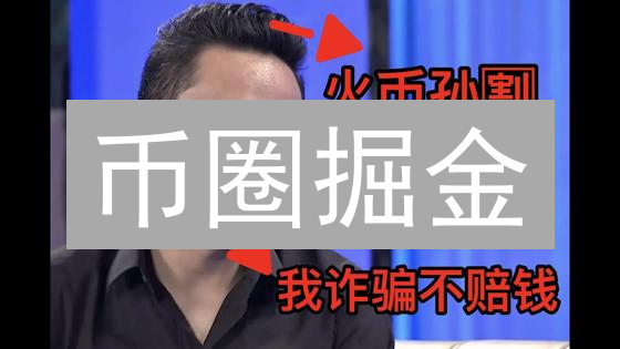 币圈掘金：火币价格查询秘籍，让你快人一步！