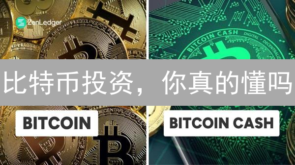 比特币投资，你真的懂吗？新手必看！