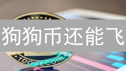狗狗币还能飞？2024年价格预测、风险与新手入坑指南！