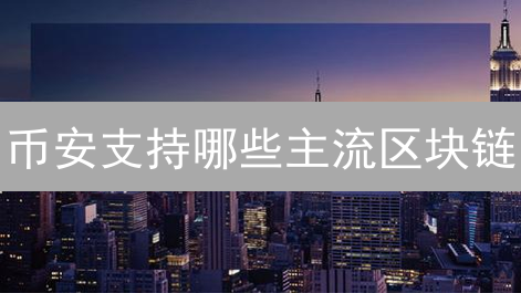币安支持哪些主流区块链？2024最全指南！