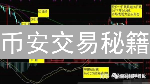 币安交易秘籍：5招玩转市场分析工具，稳赚不赔？