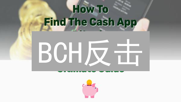 BCH反击？这次能超越比特币？专家深度解读！