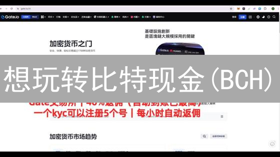 想玩转比特现金(BCH)？新手交易所注册验证攻略！