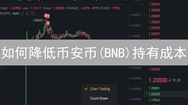 如何降低币安币(BNB)持有成本？7大策略深度解析！