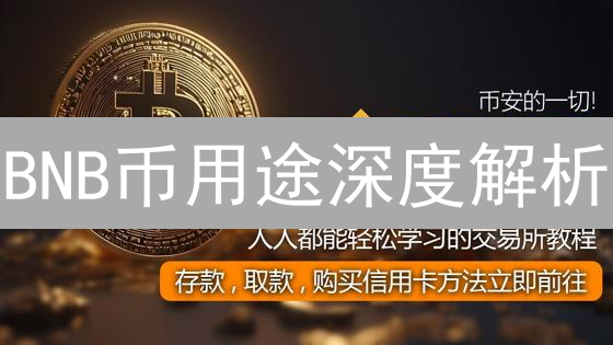 BNB币用途深度解析：交易、生态与DeFi多场景应用