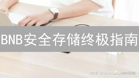 BNB安全存储终极指南：冷钱包、硬件钱包与纸钱包哪个更适合你？