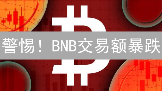 警惕！BNB交易额暴跌？深度分析与未来趋势预测