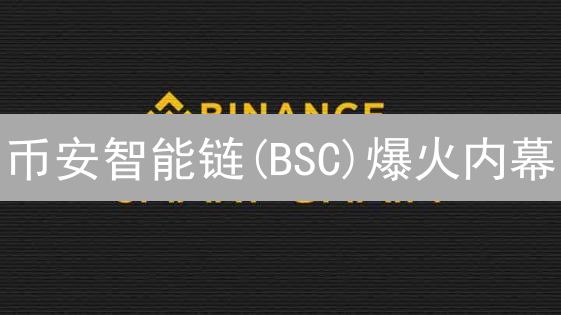 币安智能链(BSC)爆火内幕：能否挑战以太坊？速看！