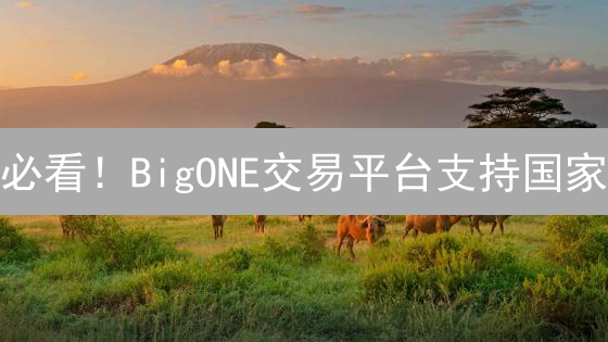 必看！BigONE交易平台支持国家/地区完整指南（2024最新）