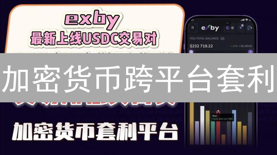 加密货币跨平台套利：Binance机会与策略解析