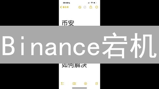 Binance宕机？深度剖析八大网络错误原因！