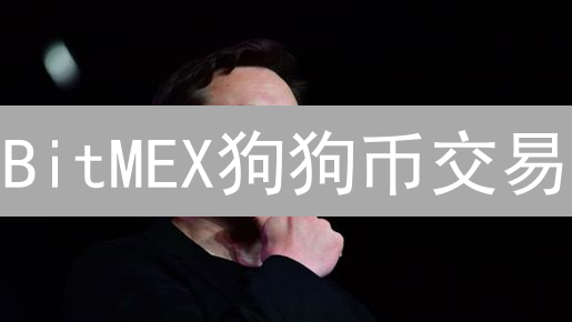 BitMEX狗狗币交易：高杠杆，高收益？你敢挑战吗？