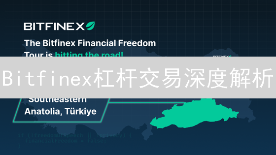 Bitfinex杠杆交易深度解析：10倍放大收益，风险可控？