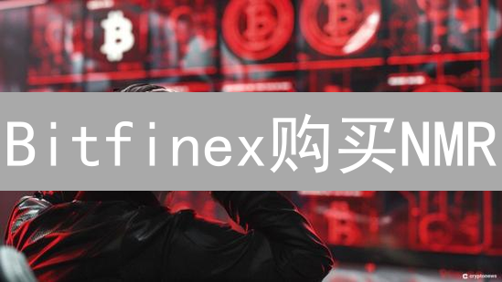 Bitfinex购买NMR：Numeraire交易指南、风险与前景分析