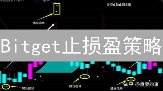 Bitget止损盈策略：新手也能掌握的加密货币交易秘诀？