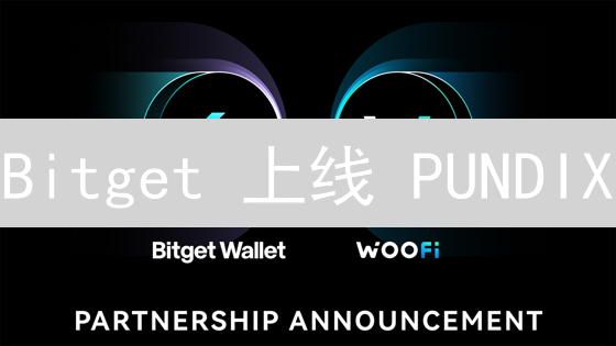 Bitget 上线 PUNDIX：机遇、风险与未来？深度分析！