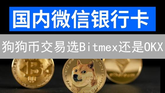 狗狗币交易选Bitmex还是OKX？5分钟读懂优劣势！
