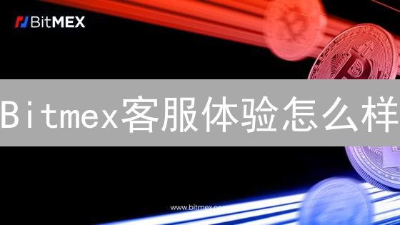 Bitmex客服体验怎么样？全天候支持吗？深度评测！