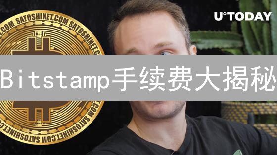 Bitstamp手续费大揭秘：交易成本优化策略，告别高额手续费！