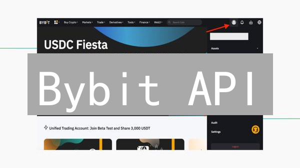 Bybit API：自动化交易的秘密武器？开发者必看！