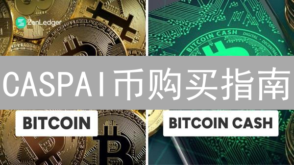 CASPAI币购买指南：新手如何安全投资CasperAI？
