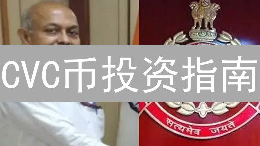 CVC币投资指南：新手也能轻松上手，避坑必看！