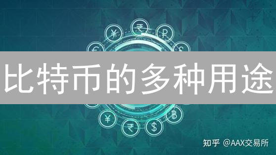 比特币的多种用途：价值存储、跨境支付与DeFi基石