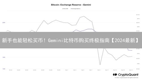 新手也能轻松买币！Gemini比特币购买终极指南【2024最新】