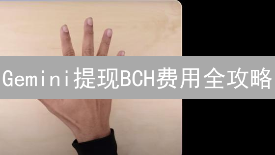 Gemini提现BCH费用全攻略：省钱技巧大揭秘！