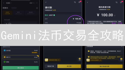 Gemini法币交易全攻略：新手也能快速上手！