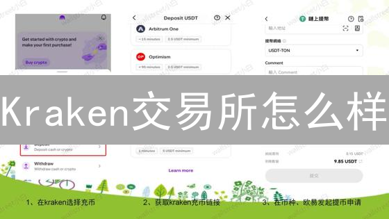 Kraken交易所怎么样？新手投资加密货币必看！