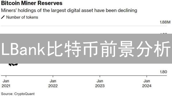 LBank比特币前景分析：还能投资吗？未来价值几何？