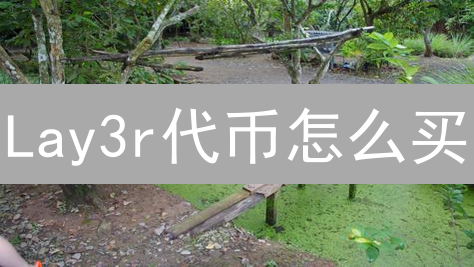 Lay3r代币怎么买？新手必看！4大购买渠道深度解析，选对才能赚！