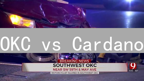 OKC vs Cardano：两大公链技术深度对比【开发者必读】