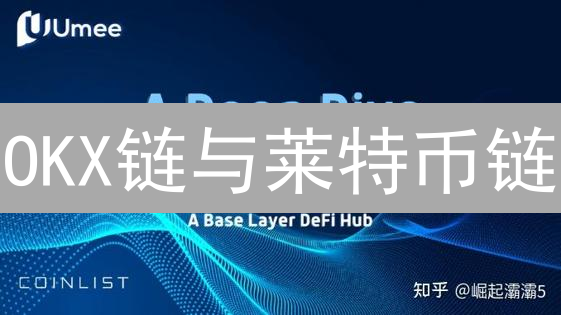 OKX链与莱特币链：关键区别与应用场景分析