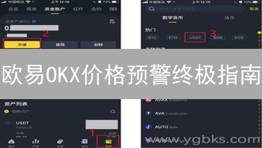 欧易OKX价格预警终极指南：抓住暴涨暴跌！