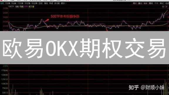 欧易OKX期权交易：新手如何玩转？高收益策略与风险控制指南！