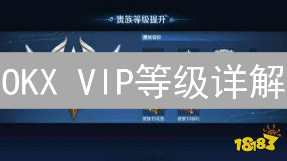 OKX VIP等级详解：如何提升等级，享受更低手续费？
