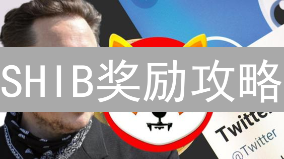 SHIB奖励攻略：5大途径教你轻松赚取！🔥