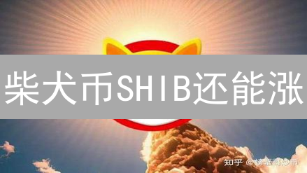 柴犬币SHIB还能涨？别冲动！高收益背后的风险与机遇！