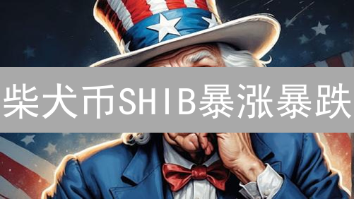 柴犬币SHIB暴涨暴跌：深度解析潜力与风险，你该抄底吗？