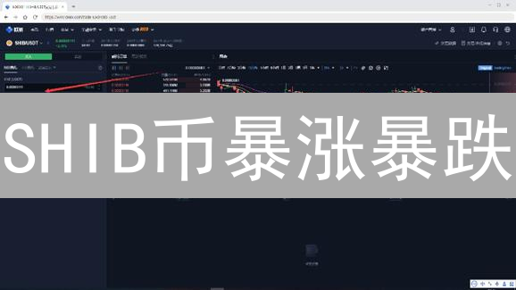 SHIB币暴涨暴跌？掌握这三种策略，让你稳健盈利！