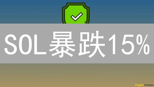 SOL暴跌15%？揭秘加密货币回调的惊人真相！