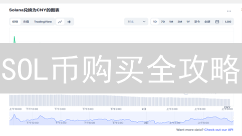 SOL币购买全攻略：哪种钱包最安全？新手必看！