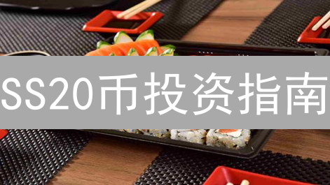 SS20币投资指南：DeFi、元宇宙潜力爆发？新手必看风险评估！