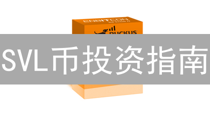 SVL币投资指南：购买、风险与市场分析全攻略