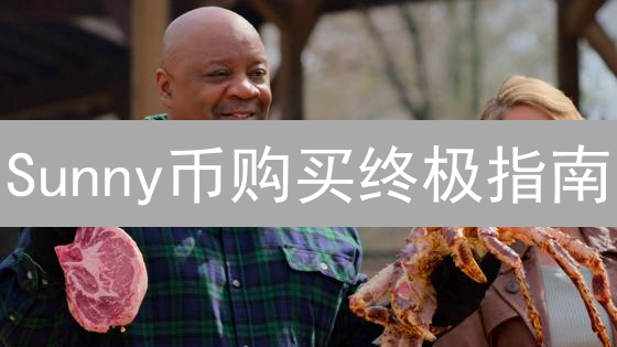 Sunny币购买终极指南：新手必看！避坑指南