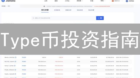Type币投资指南：新手如何购买？风险与机遇并存！